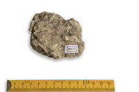 F 08837
<br/>
<br/>
<em></em>